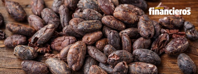 cacao