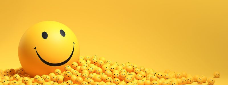 Yellow Day